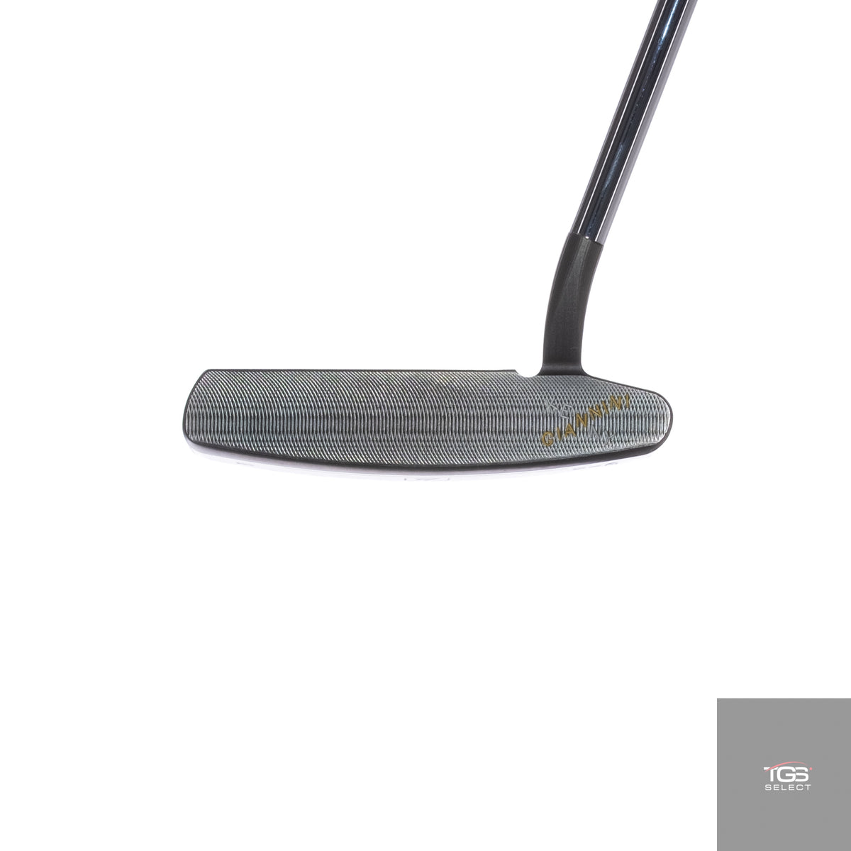 Kenny Giannini G6 (34")
